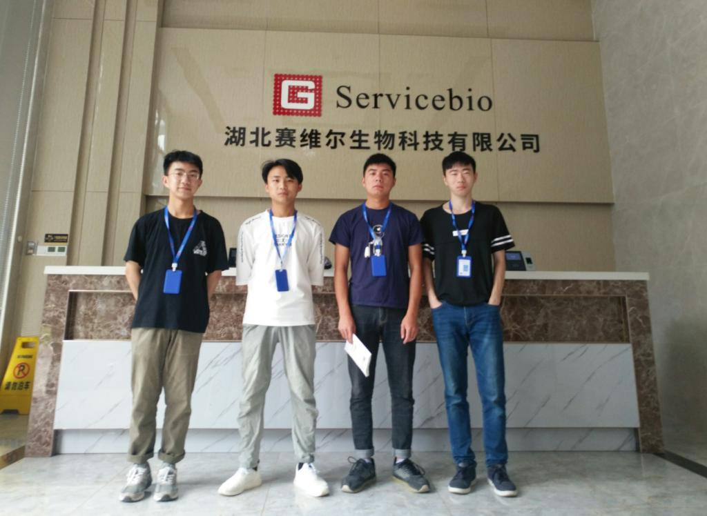 Betvictor中文版