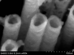 说明: E:\扫描电镜\2011\扫描电镜\S-4800\我的年度总结\2010\纳米管\2_m004.jpg