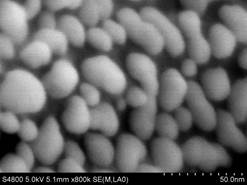 说明: E:\扫描电镜\2011\扫描电镜\S-4800\我的资料照片\图片欣赏\硅线蒸银\1_m003.jpg