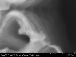 说明: E:\扫描电镜\2011\扫描电镜\S-4800\我的年度总结\2010\二氧化钛纳米管1.jpg